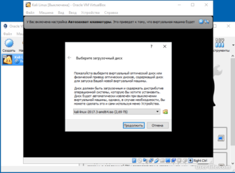 Установка kali Linux на virtualbox