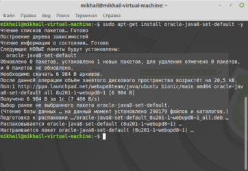 Установка java Linux mint