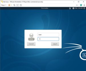 Установка kali Linux на vmware